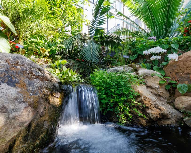 Memphis Botanic Garden Entry Ticket - Final Thoughts