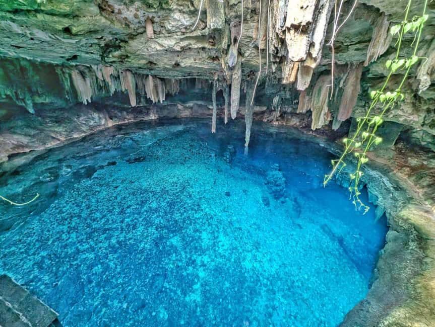 Mérida: 4 Majestic Cenotes Tour with Typical Lunch - The Itinerary: What to Expect