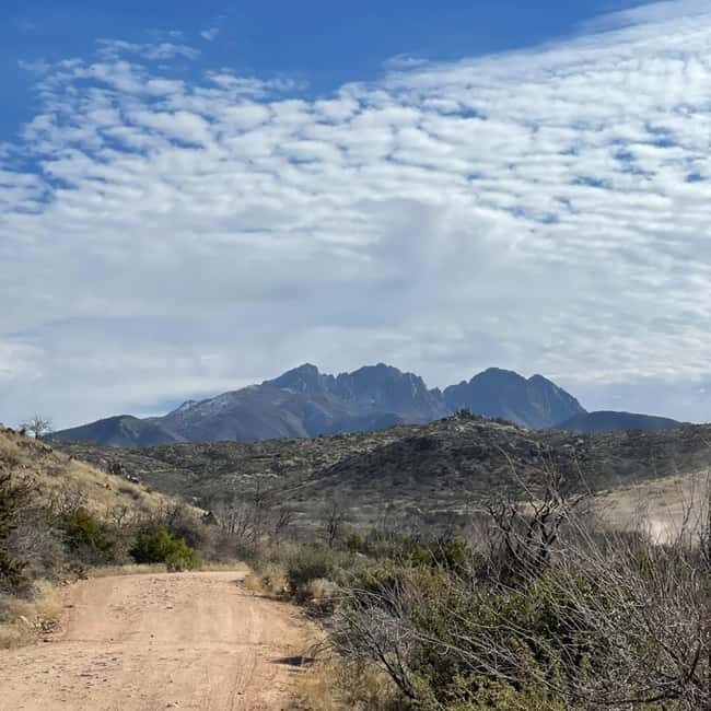 Mesa, AZ: Four Peaks Wilderness Off-Road Tour with Lunch - What the Experience Means for You