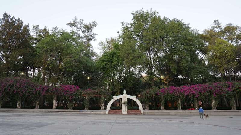 Mexico City: 19 City Highlights Bicycle Tour - The Experience: What Makes It Special