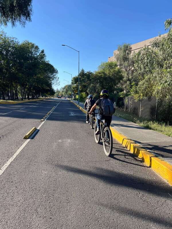 Mexico City: Bike, Cannabis, Nature, Food, Culture and History. - Practical Details and Value Analysis