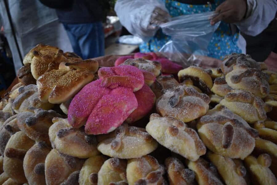 Mexico City: Day of the Dead Market & Chili Tasting(Private) - A Deep Dive into the Tour Experience