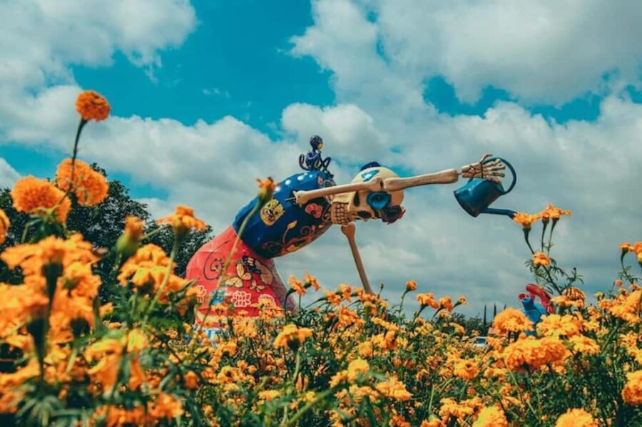 Mexico City: Dia de Muertos Tour to Atlixco - The Experience: What We Love and What to Consider