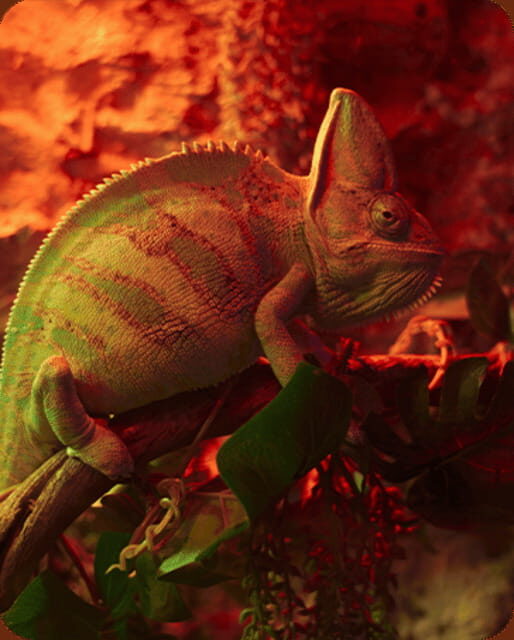 Mexico City: Fast Pass Ticket to Acuarium Inbursa - Practical Details