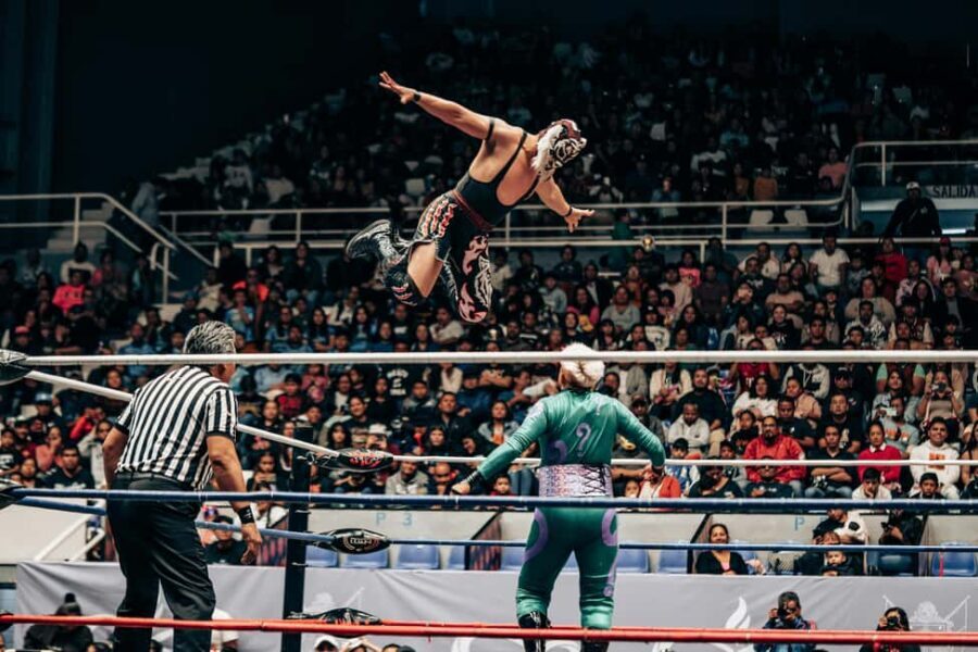 Mexico City: Mexican evening, lucha libre, and tequila - The Experience’s Pros and Cons