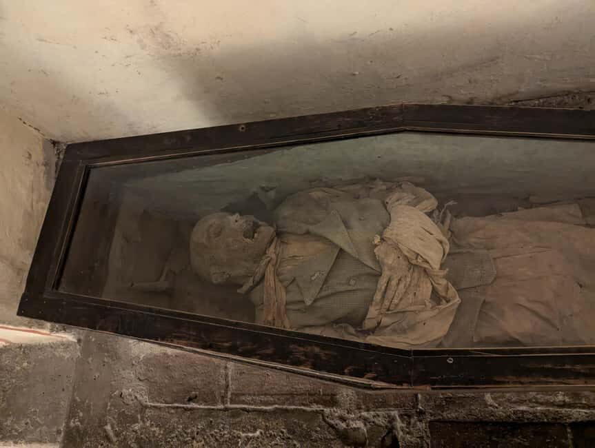 Mexico City: Museum of El Carmen Tour with Ticket - Why This Tour Offers Great Value