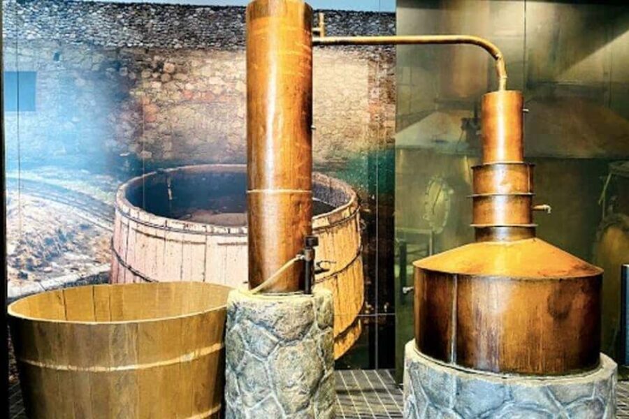 Mexico City: Tequila and Mezcal Museum Ticket with Tastings - Who Should Consider This Tour?