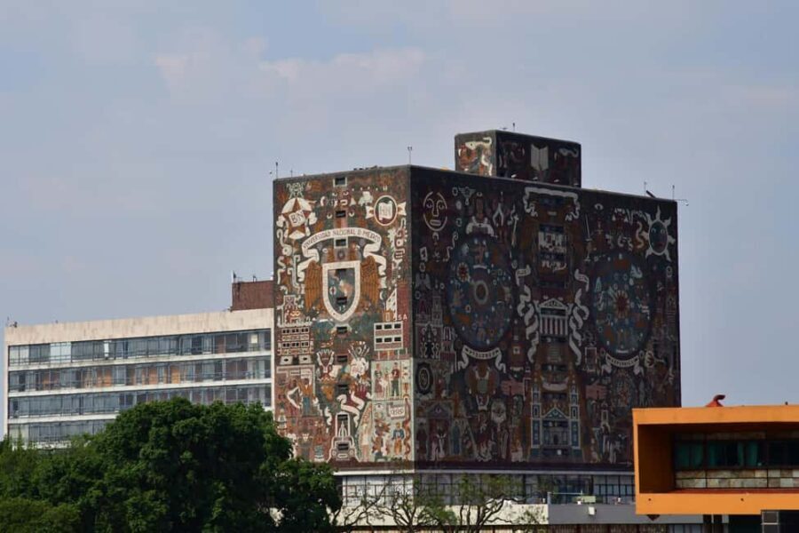 Mexico City: Xochimilco Coyoacan, Frida Kahlo & UNAM Murals - Analyzing the Value and Overall Impression