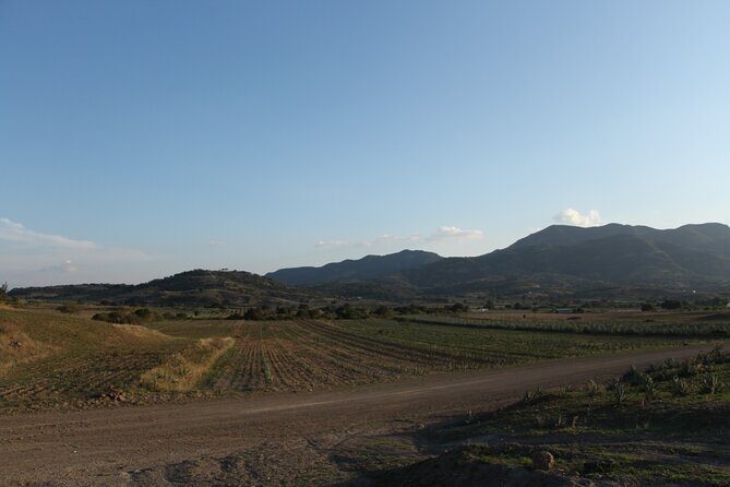 Mezcal Culture Cycling Tour in a Zapotec Village - Who Should Consider This Tour?