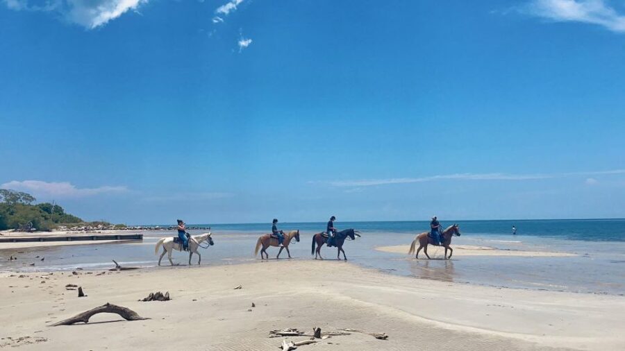 Miami: Beach Horse Ride & Nature Trail - The Rider Experience and What Travelers Say