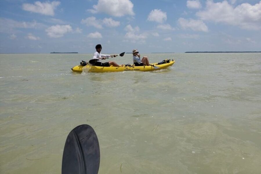 Miami: Everglades National Park Hiking and Kayaking Day Trip - Exploring the Day in Detail