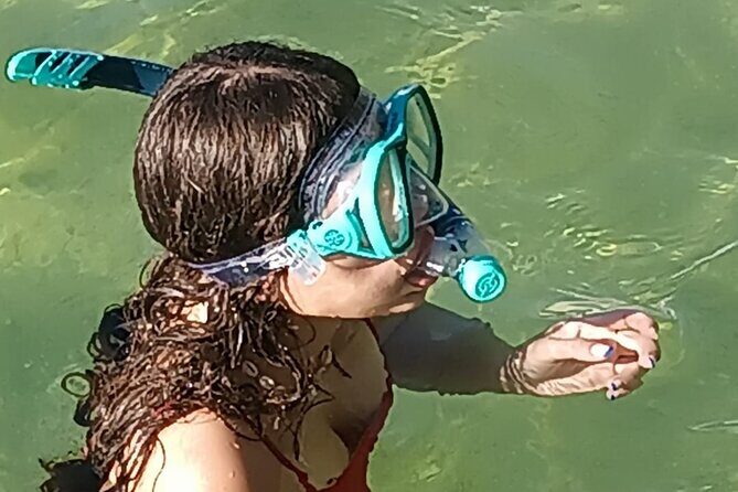 Miami: Snorkel adventure & Sandbar Trip - Pricing and Value