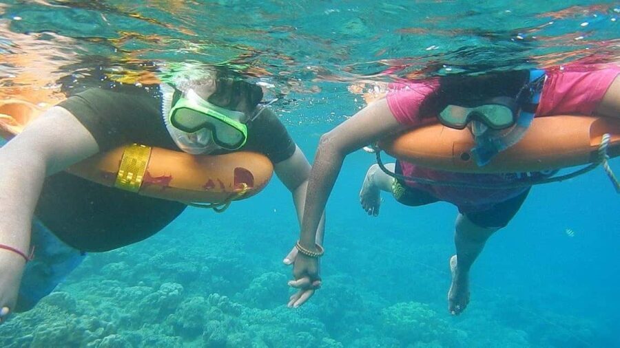 Miami Snorkeling for Beginners from Bayside Market Place - Authentic Feedback from Travelers