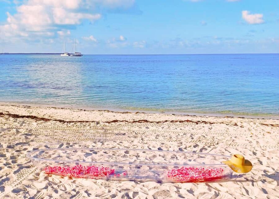 Miami/South Beach: Clear Kayak Photoshoot with Drone - The Value for Your Money