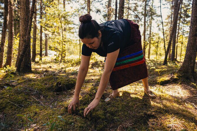 Mi'kmaq Heritage Path Tour - Exploring Authentic Structures