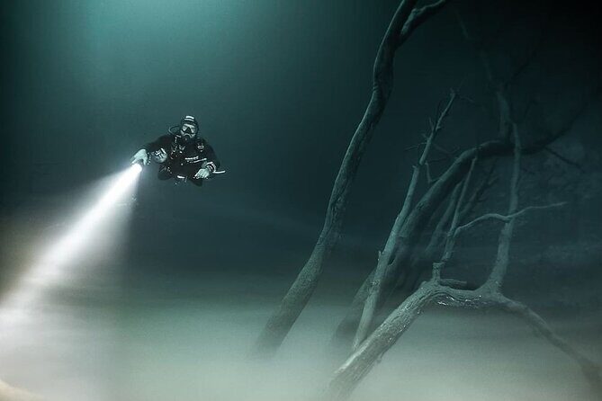 Mind Blowing Cenote Diving Experience In Playa del Carmen - What to Expect from the Tour