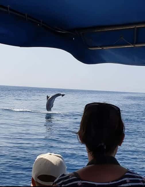 Molat Island Dolphin Watching Boat Tour 6hours TOUR - Final Thoughts: Who Is This Tour For?  