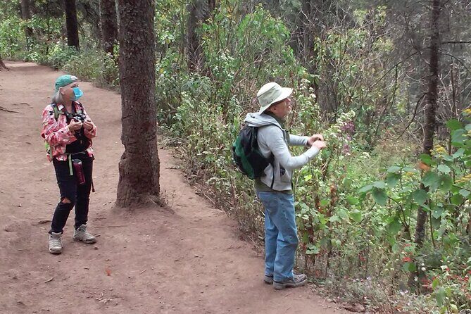 Monarch Butterfly group tour. Join me to watch #butterflies - Authentic Encounters and Review Highlights