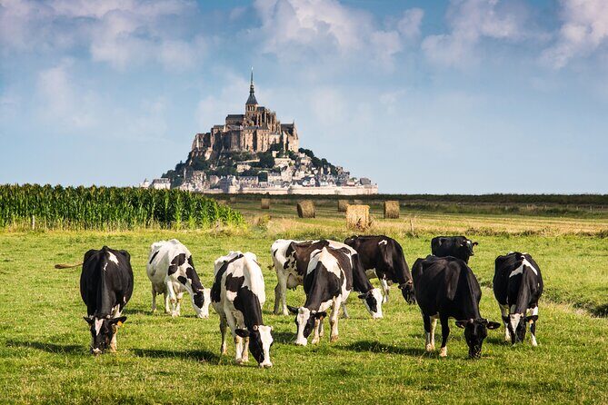 Mont Saint Michel Guided Day Trip with Hotel Pickup - What Travelers Say