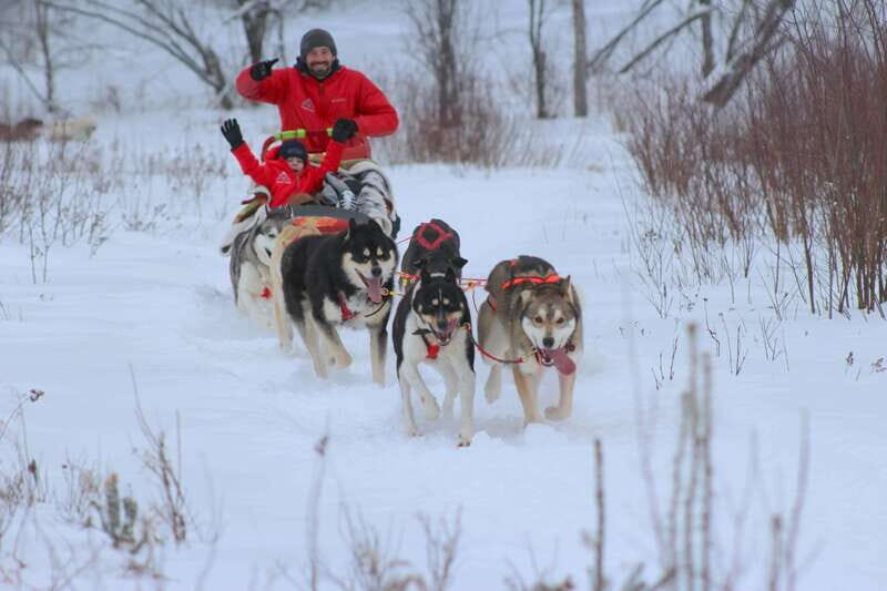 Mont-Tremblant: Dogsledding Valley Adventure - Practical Details and What to Expect