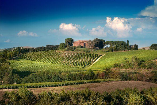 Montalcino Castle and Vineyards tour with tasting - Who Will Love This Tour?