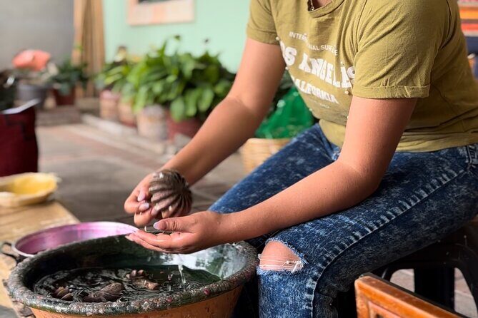 Monte Alban, Mezcal factory, chocolate and artisan houses - Who Should Book This Tour?