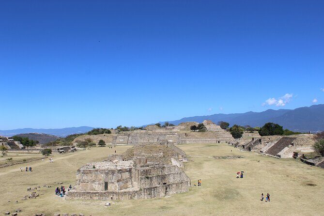 Monte Alban Only - Half Day Guided Tour - Oaxaca - Authentic Insights and Stories