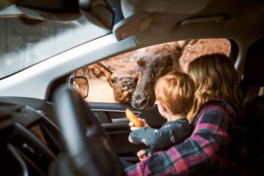 Montebello, QC: General Admission to Parc Omega - Authentic Experiences and Visitor Impressions