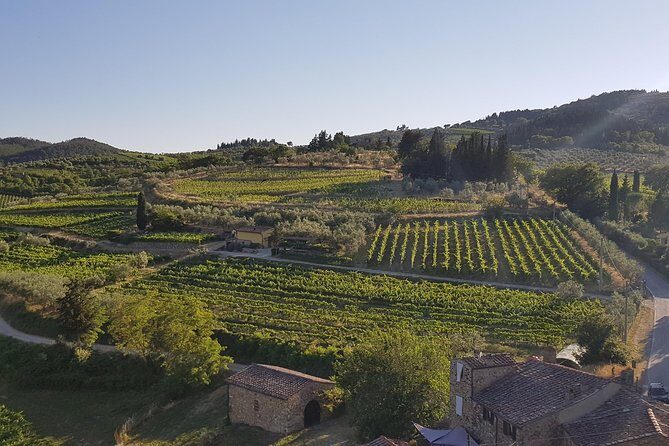 Montefioralle Winery - Tour and Wine Tasting in Chianti - The Itinerary and Why It Matters