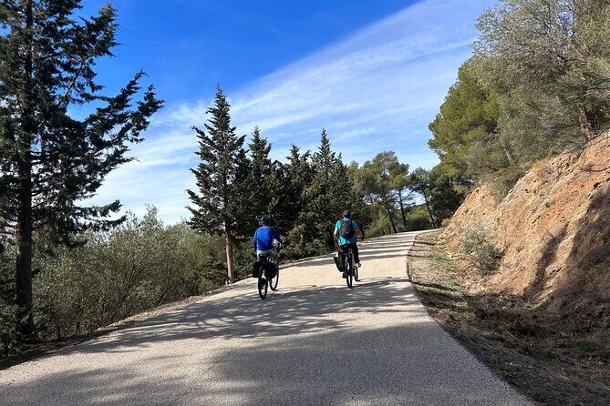 Montes of Málaga E-bike Tour - Practical Details and Value