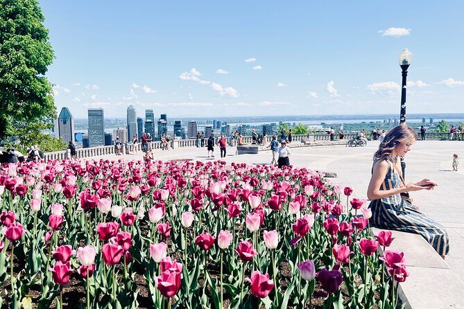 Montreal: 3-Hour Private Car Tour with Expert & Free Pick up - Deep Dive Into the Itinerary