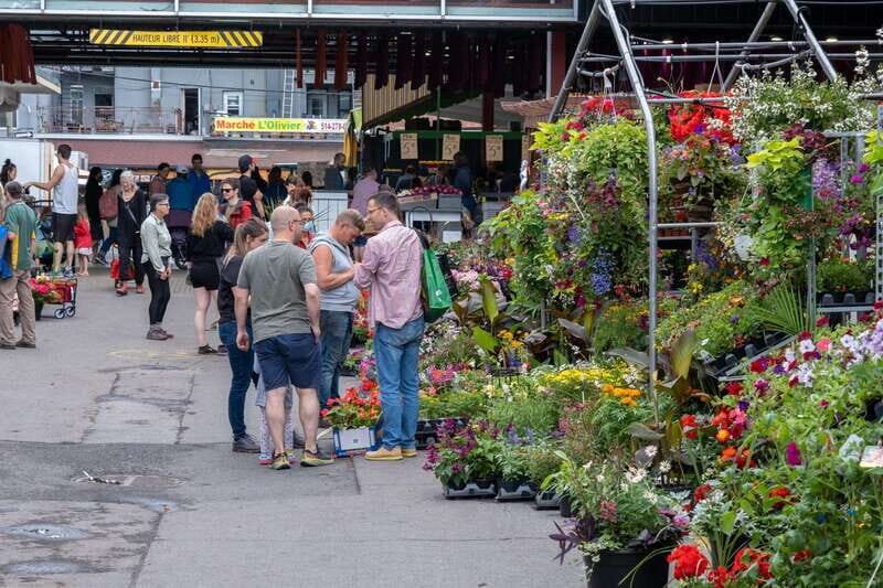 Montreal: Jean-Talon Market & Little Italy Highlights Tour - What to Expect During the Tour