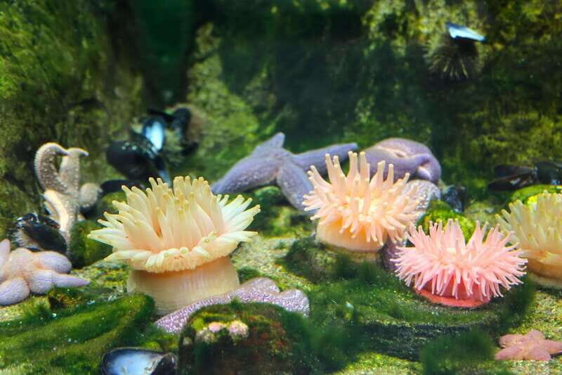 Montreal: Skip-the-line Biodome Private Tour with Tickets - Authentic Experiences and Hidden Gems