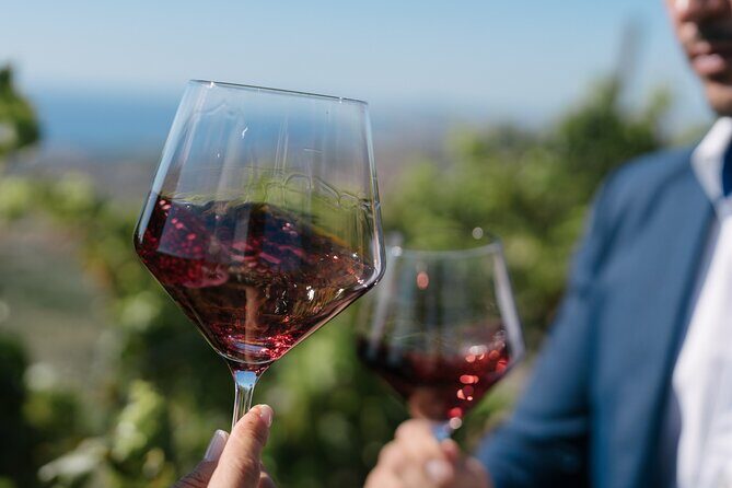 Montserrat Full Day Tour With Wine gourmet Lunch - Transportation and Group Size