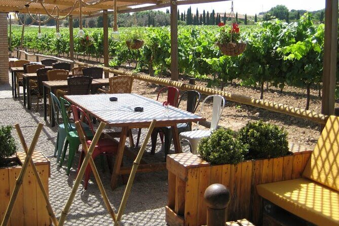 Montserrat & Winery Visit Tour with Traditional Farmhouse Lunch - Practical Considerations