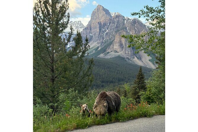 Moraine Lake, Lake Louise Afternoon Tour Half day From Banff - The Experience in Detail