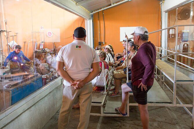 Morning Glory - Analyzing the Value