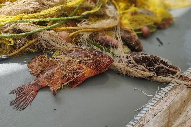 Morning Group Cruise from Milos To Polyaigos - The Sum Up