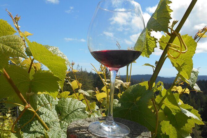 Morning Half Day Carmel Valley Wine Tasting Tour - Final thoughts