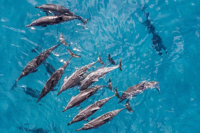 Morning Na Pali Adventure & Snorkel Tour (Hanalei Departure) - Authentic Traveler Insights