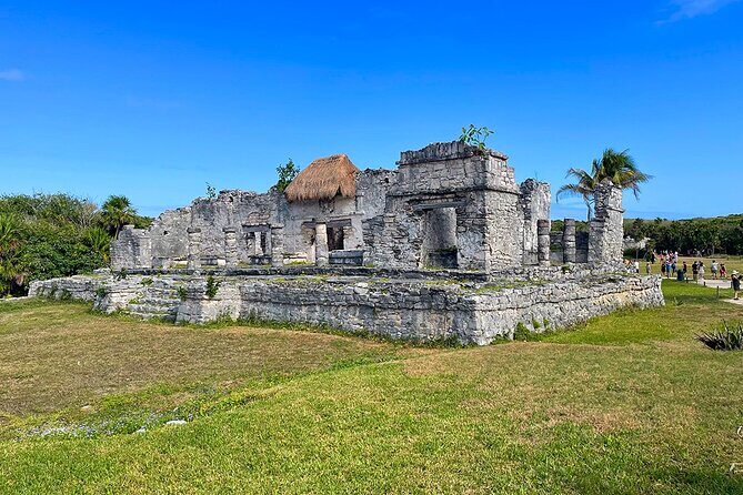 Mother Nature, Tulum, Casa Tortuga Cenote and 5th av - A Detailed Look at the Tour Itinerary