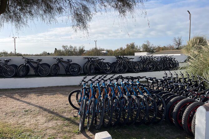 Mountain bike rental in Camargue - The Sum Up: Is This Experience Worth It?