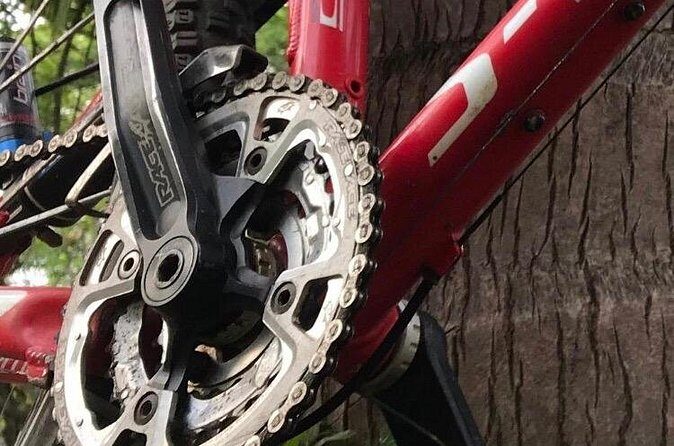 Mountain Bike Tours - What to Expect from the Experience