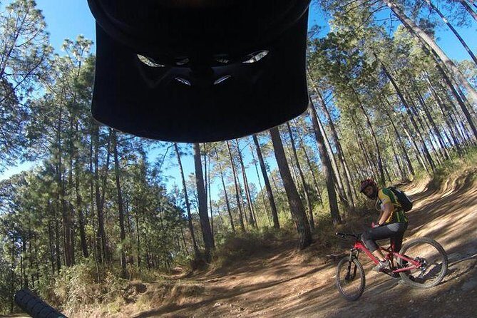 Mountain Biking Tour at La Primavera Forest - A Detailed Look at the Mountain Biking Experience