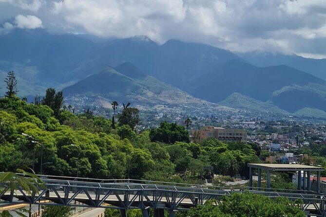 MTB Bike Tour: Enduro to Cerro del Fortín (Black Diamond trails) - Authenticity and Quality of the Experience