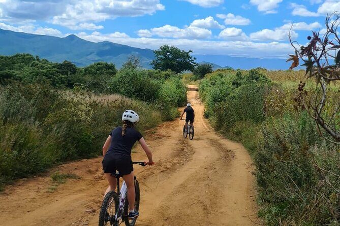 MTB Bike Tour: Monkey Tree + Tule Tree - The Itinerary in Detail