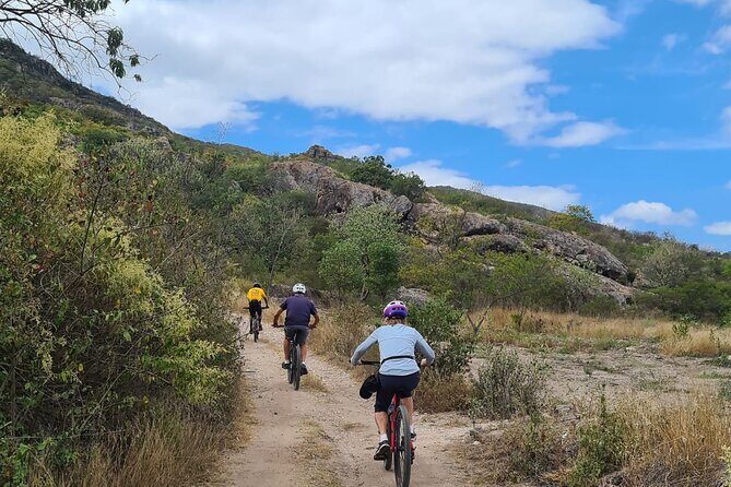 MTB Bike Tour: Tree of the Tule on mountain trails - An In-Depth Look at the MTB Bike Tour to the Tule Tree