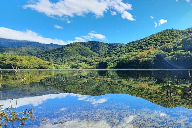 MTB Guided Ride, Tule Tree & Lake Half-Day - Practical Considerations