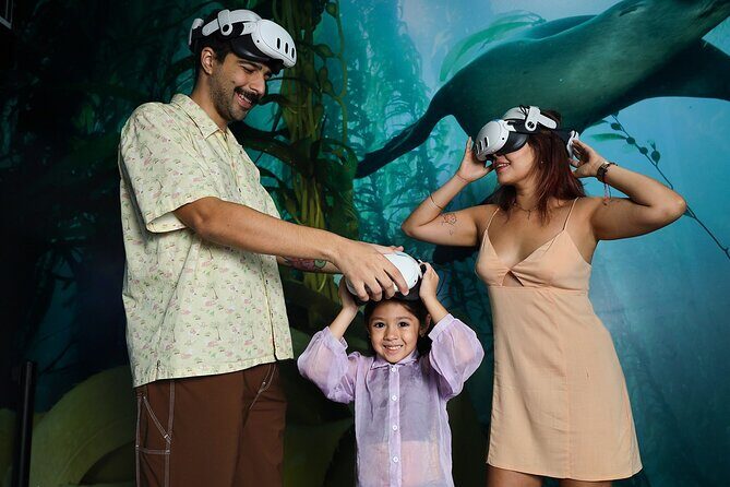 Munba National interactive Whale Museum - The Practicalities: Timing, Cost, and Accessibility