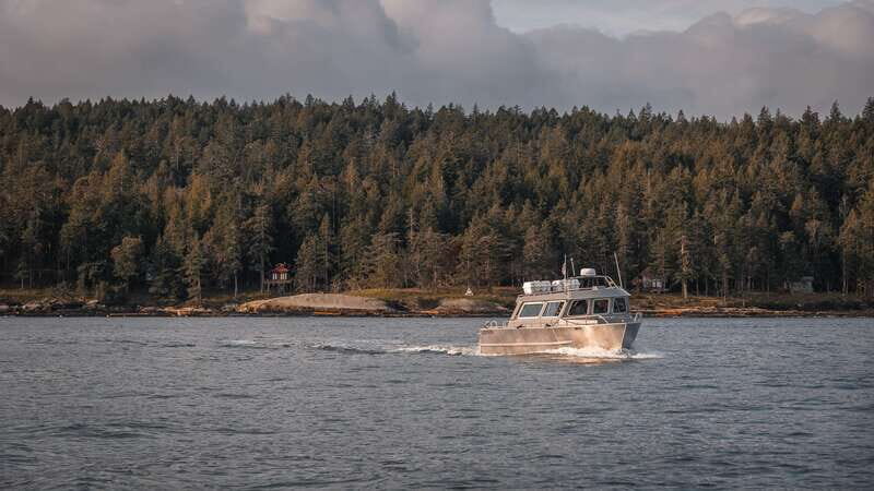 Nanaimo: Whale Watching Semi-Covered Boat Tour - Why the Tour Offers Great Value